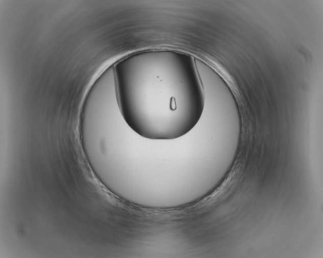 X0000112880956200909111440