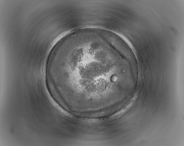 X0000112880957200909111440