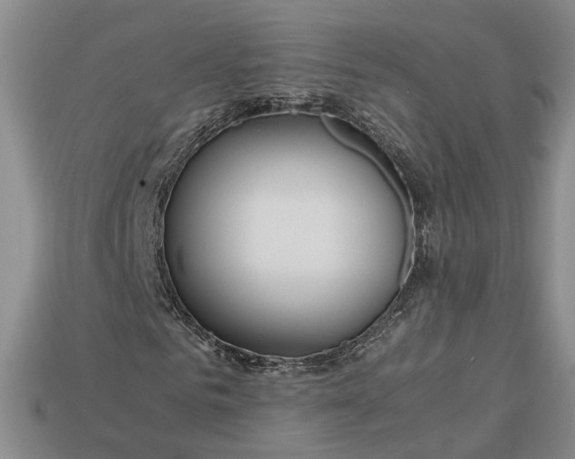 X0000112880961200909111439