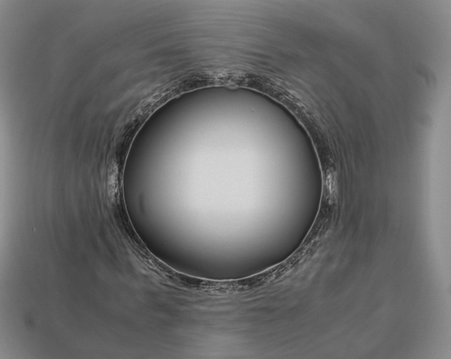 X0000112880963200909111439