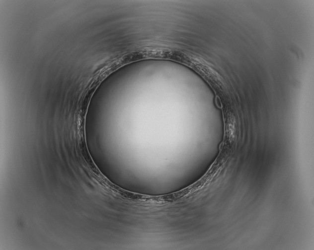 X0000112880964200909111439