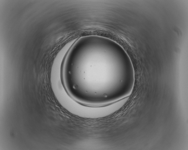 X0000112880965200909111439