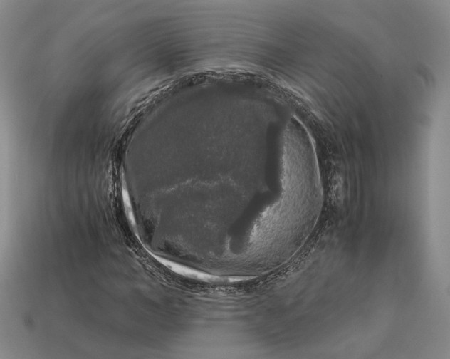 X0000112880966200909111439