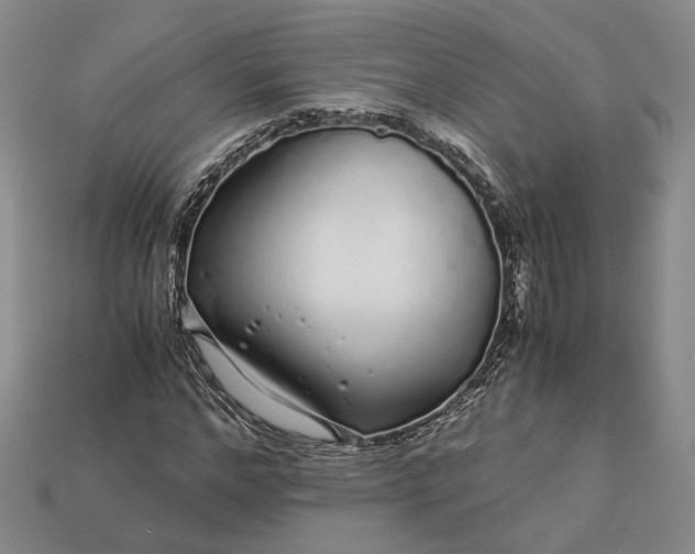 X0000112880968200909111439