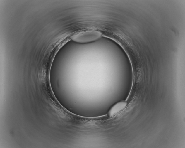 X0000112880969200909111439