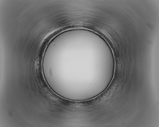 X0000112880971200909111439