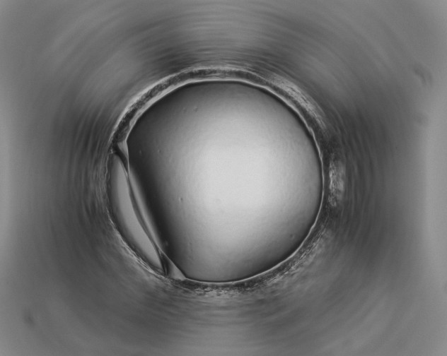 X0000112880972200909111439