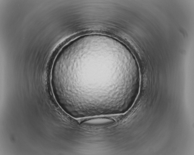 X0000112880975200909111439