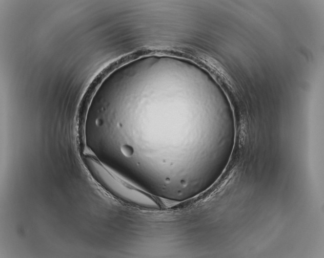 X0000112880976200909111439