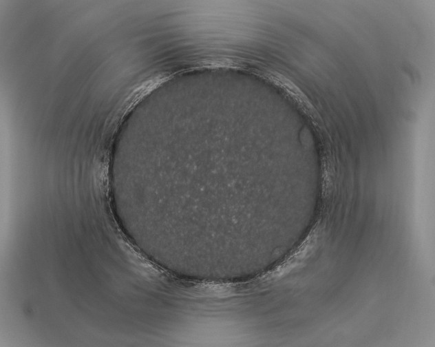 X0000112880977200909111439