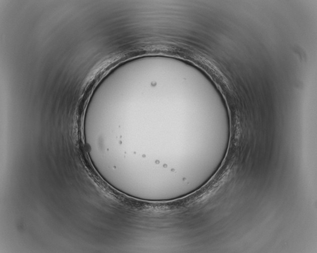 X0000112880978200909111439