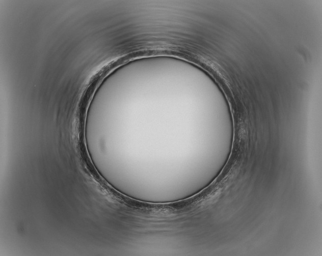 X0000112880979200909111439