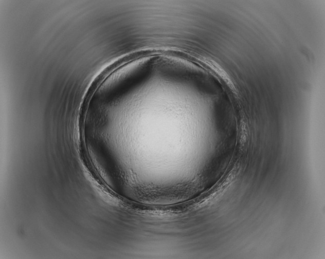 X0000112880980200909111439