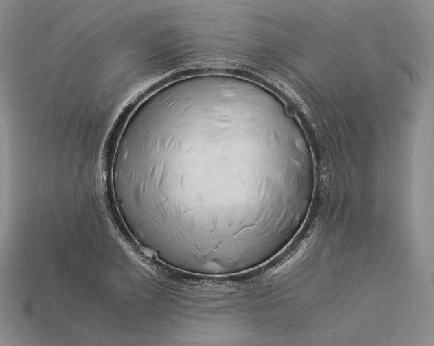 X0000112880981200909111439