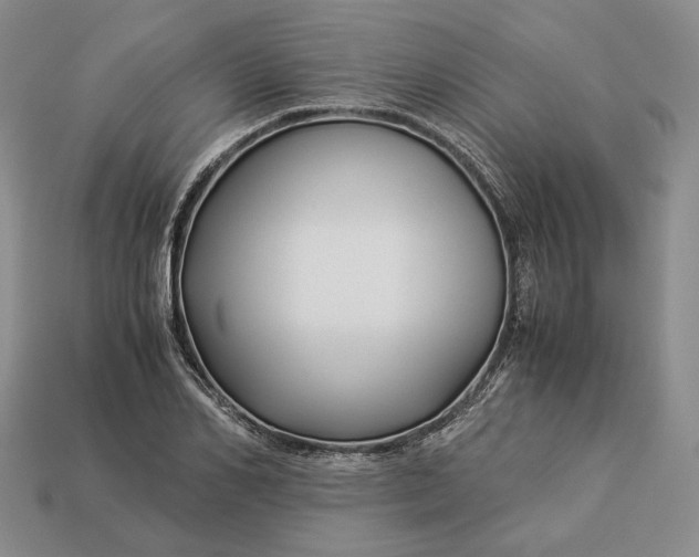 X0000112880982200909111439