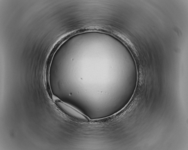 X0000112880984200909111439