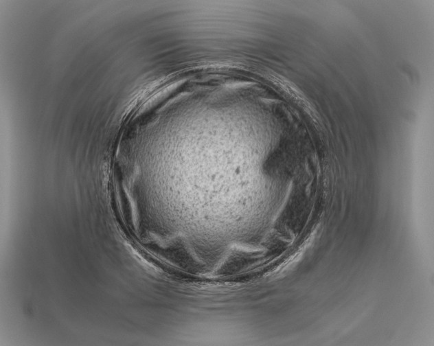 X0000112880985200909111439