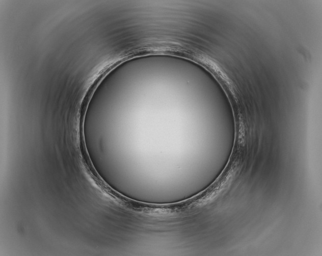 X0000112880986200909111439