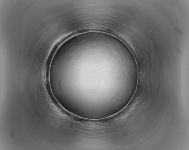 X0000112880987200909111439