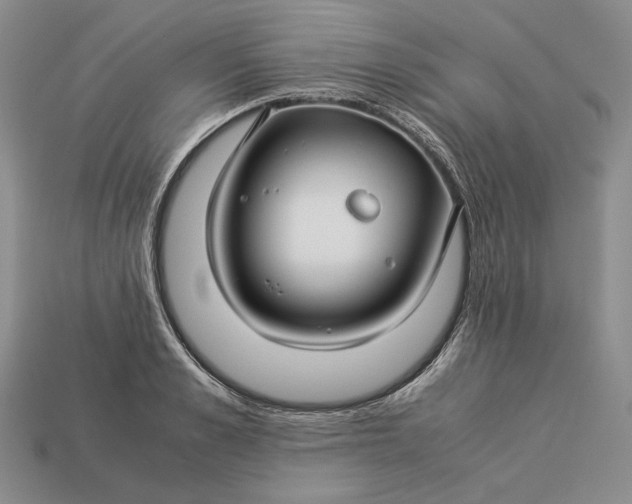 X0000112880989200909111439