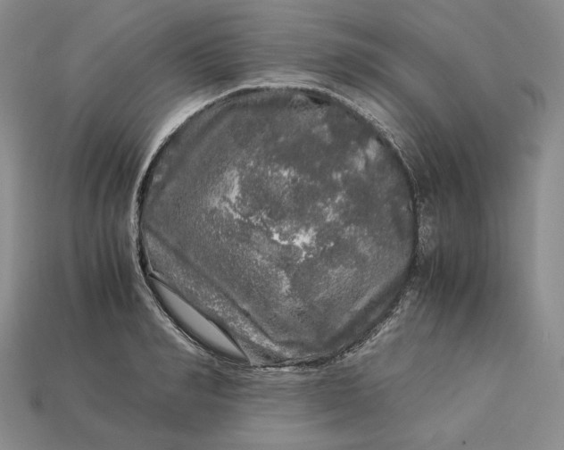 X0000112880990200909111439