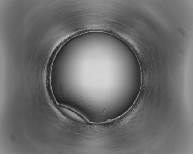 X0000112880991200909111439