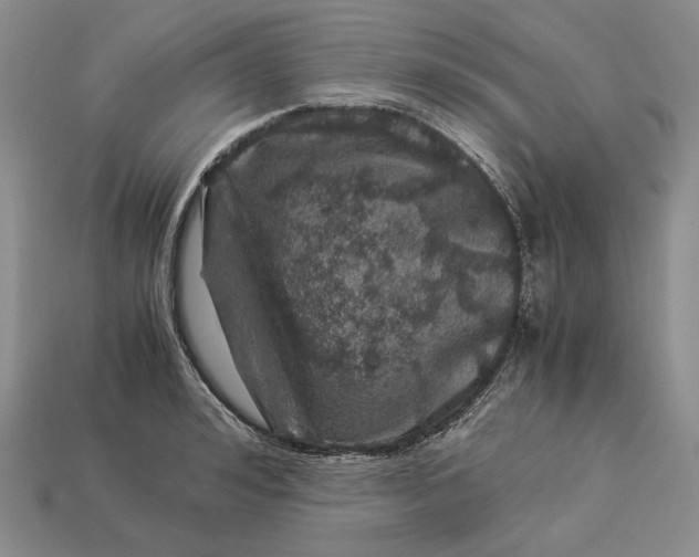 X0000112880992200909111439