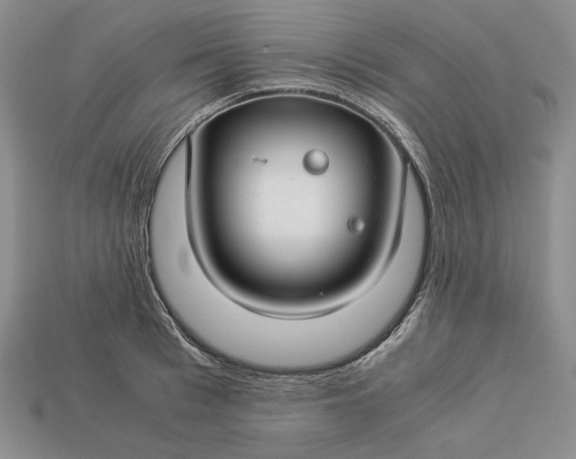 X0000112880993200909111439