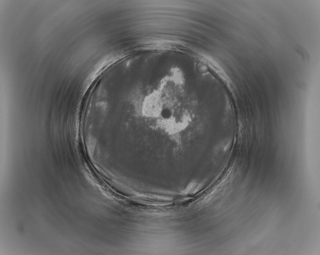 X0000112880994200909111439