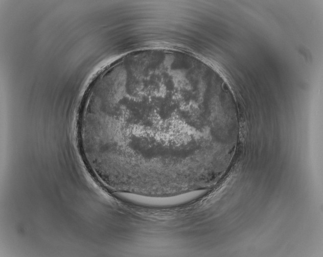 X0000112880995200909111439