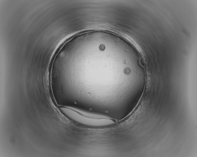 X0000112880996200909111439