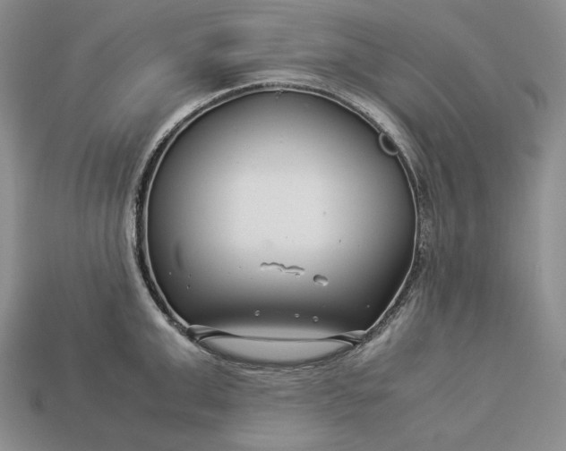 X0000112880999200909111439