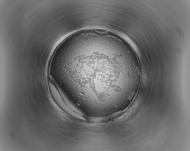 X0000112881004200909111439