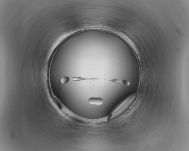 X0000112881005200909111439