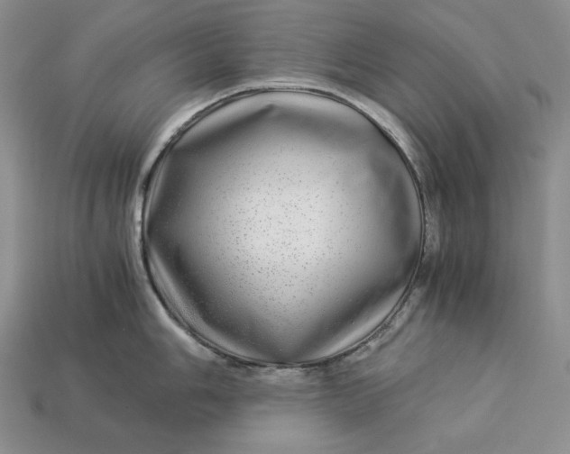 X0000112881006200909111439