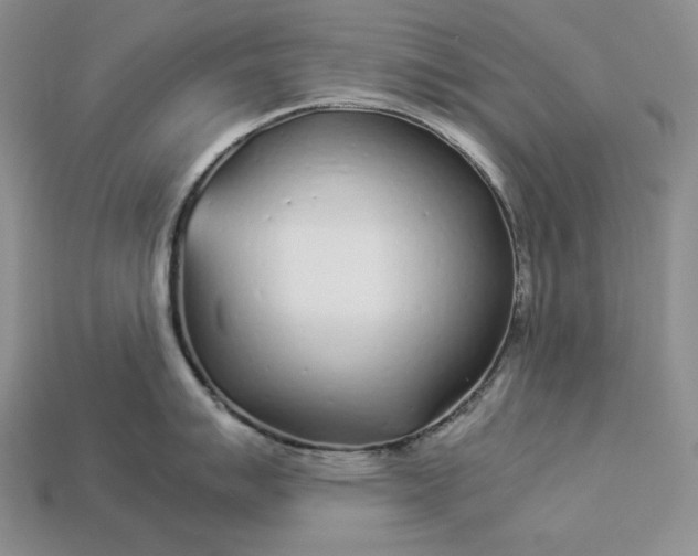 X0000112881007200909111439