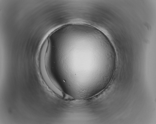 X0000112881008200909111439