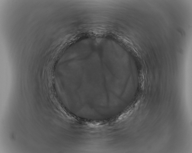 X0000112881009200909111438