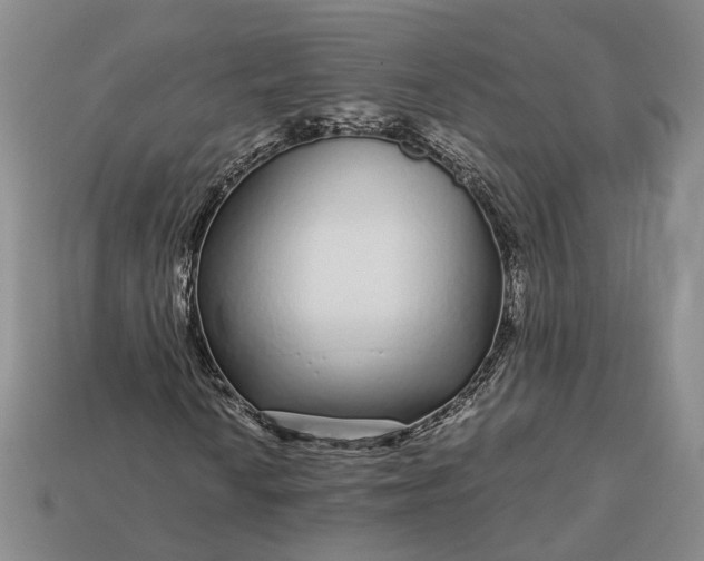 X0000112881010200909111438