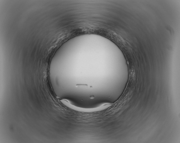 X0000112881012200909111438