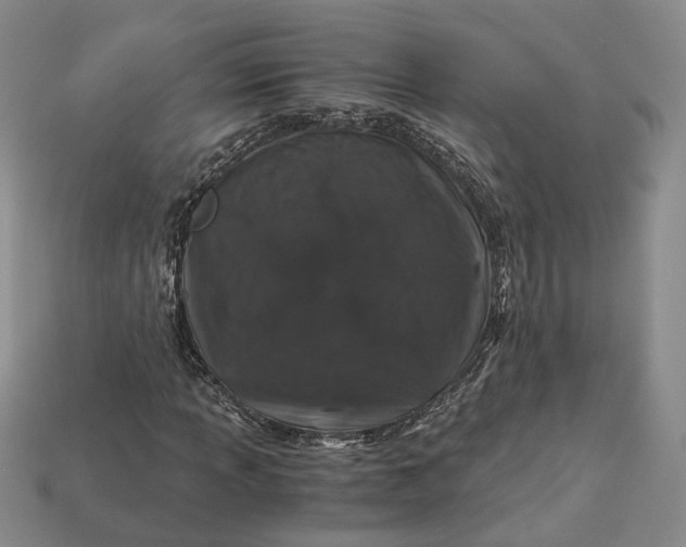 X0000112881013200909111438