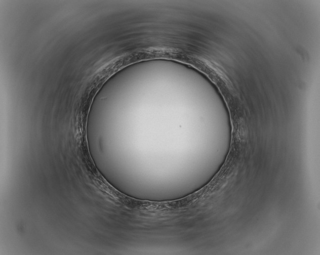 X0000112881015200909111438