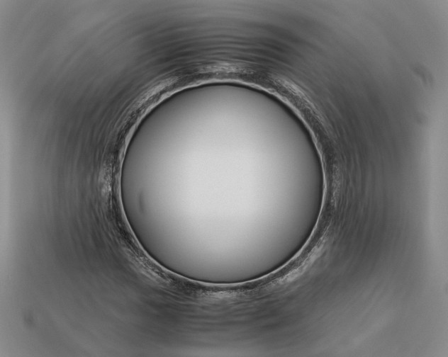 X0000112881017200909111438