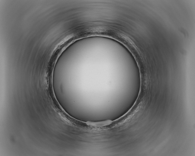 X0000112881018200909111438