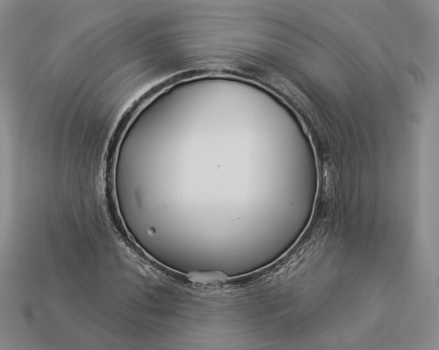 X0000112881020200909111438