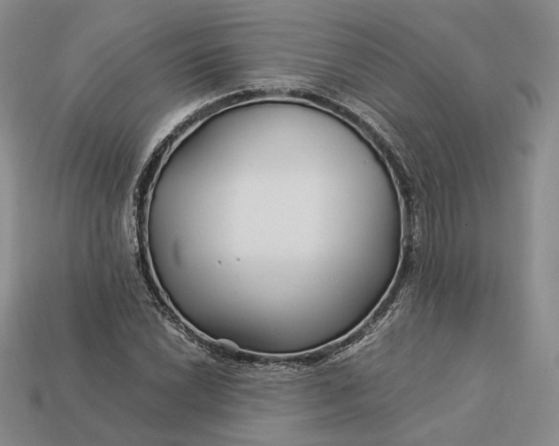 X0000112881022200909111438