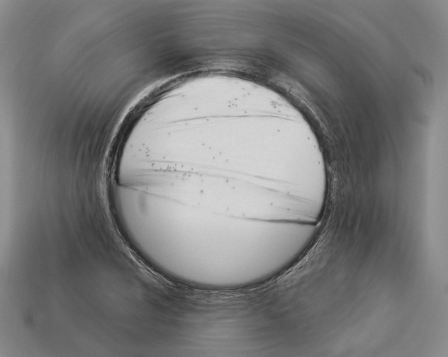 X0000112881024200909111438