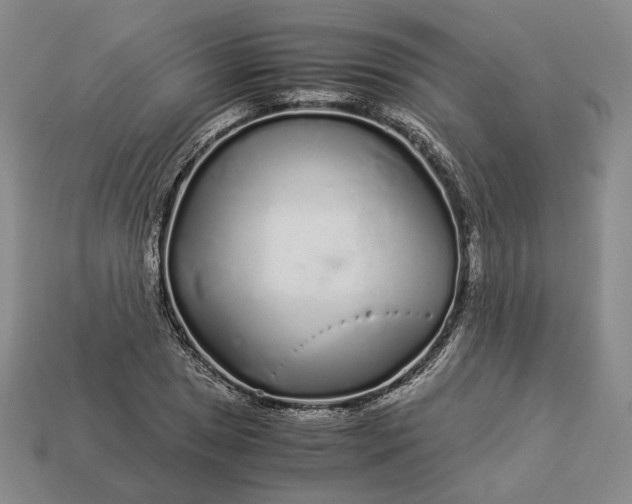 X0000112881025200909111438