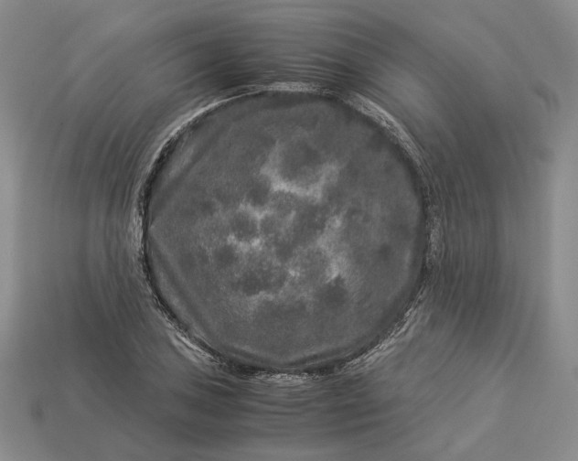 X0000112881027200909111438