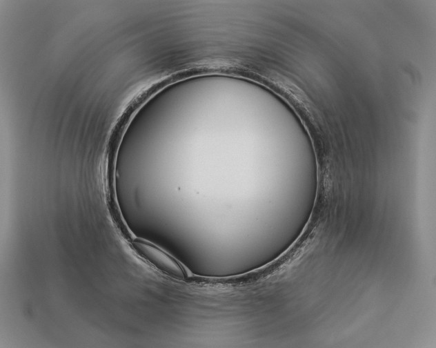 X0000112881030200909111438